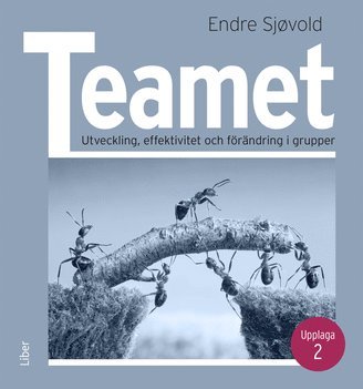 Ett annat sätt att se på vad som händer i en grupp