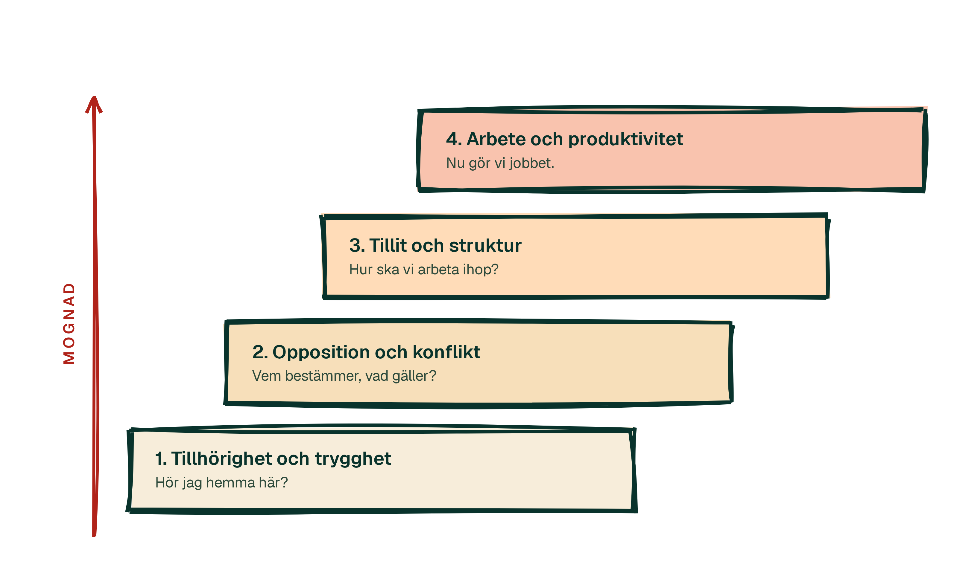 Fyra faser staplade som en trappa uppåt: tillhörighet och trygghet, opposition och konflikt, tillit och struktur, arbete och produktivitet.