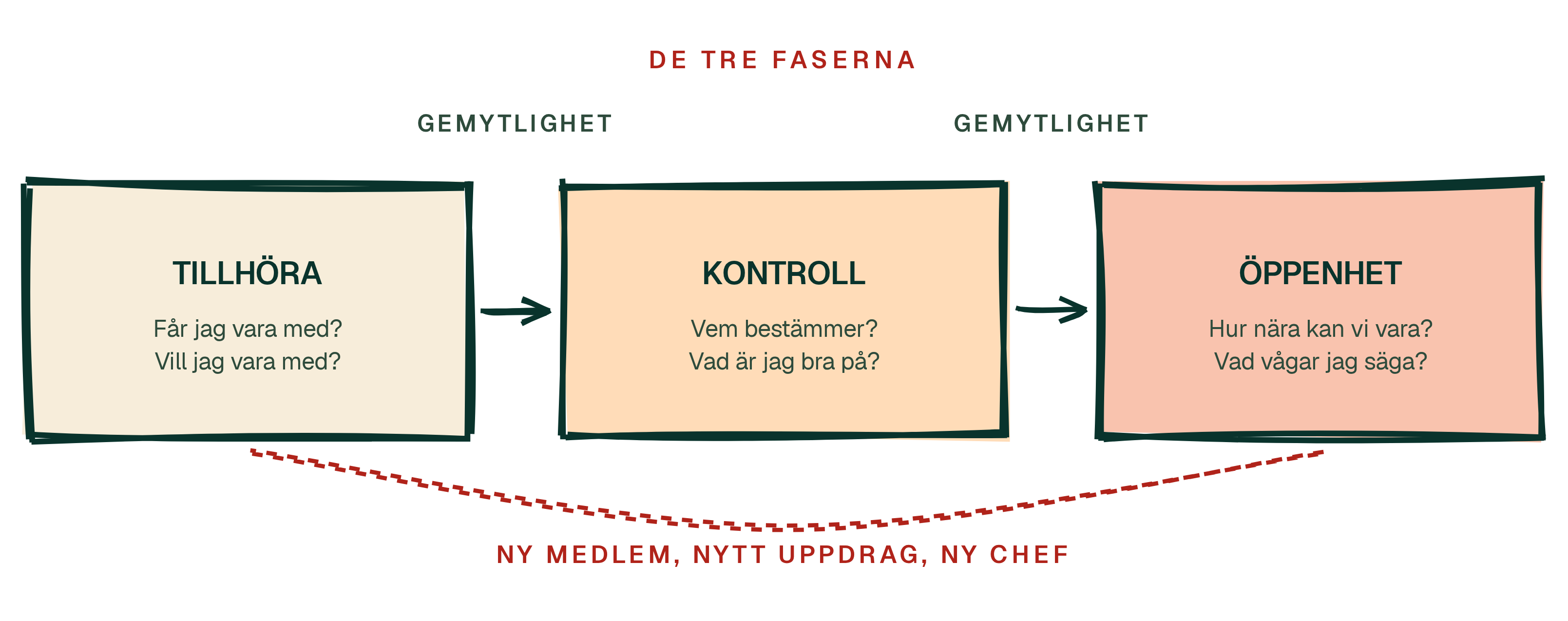 Tre faser, drivna av behoven att tillhöra, ha kontroll och vara öppen.