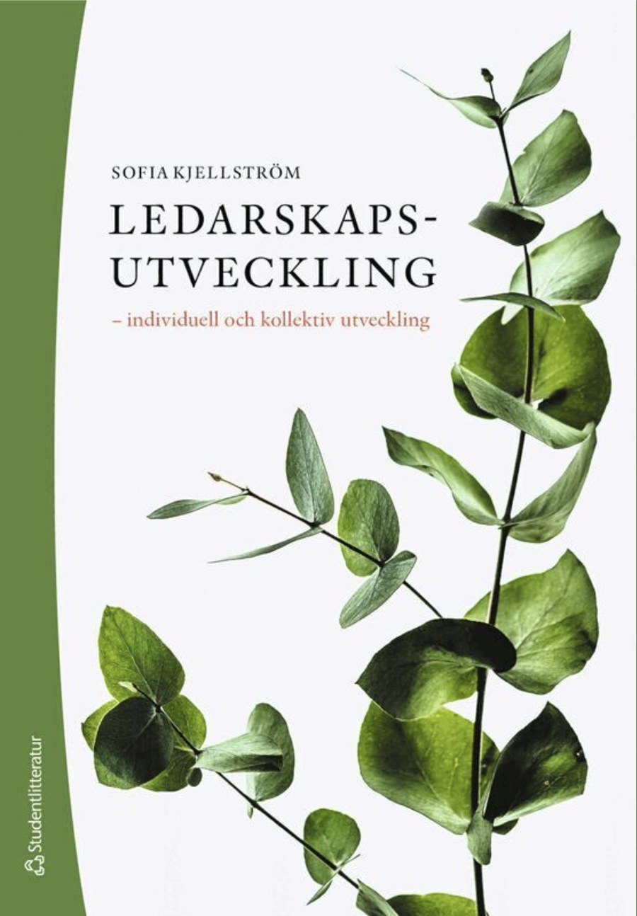 Ett trettiotal metoder för ledarutveckling, prövade mot forskningen