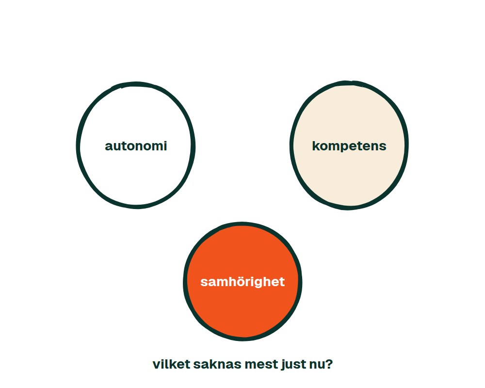 Vilket behov saknas mest? En golvövning om motivationens tre grunder