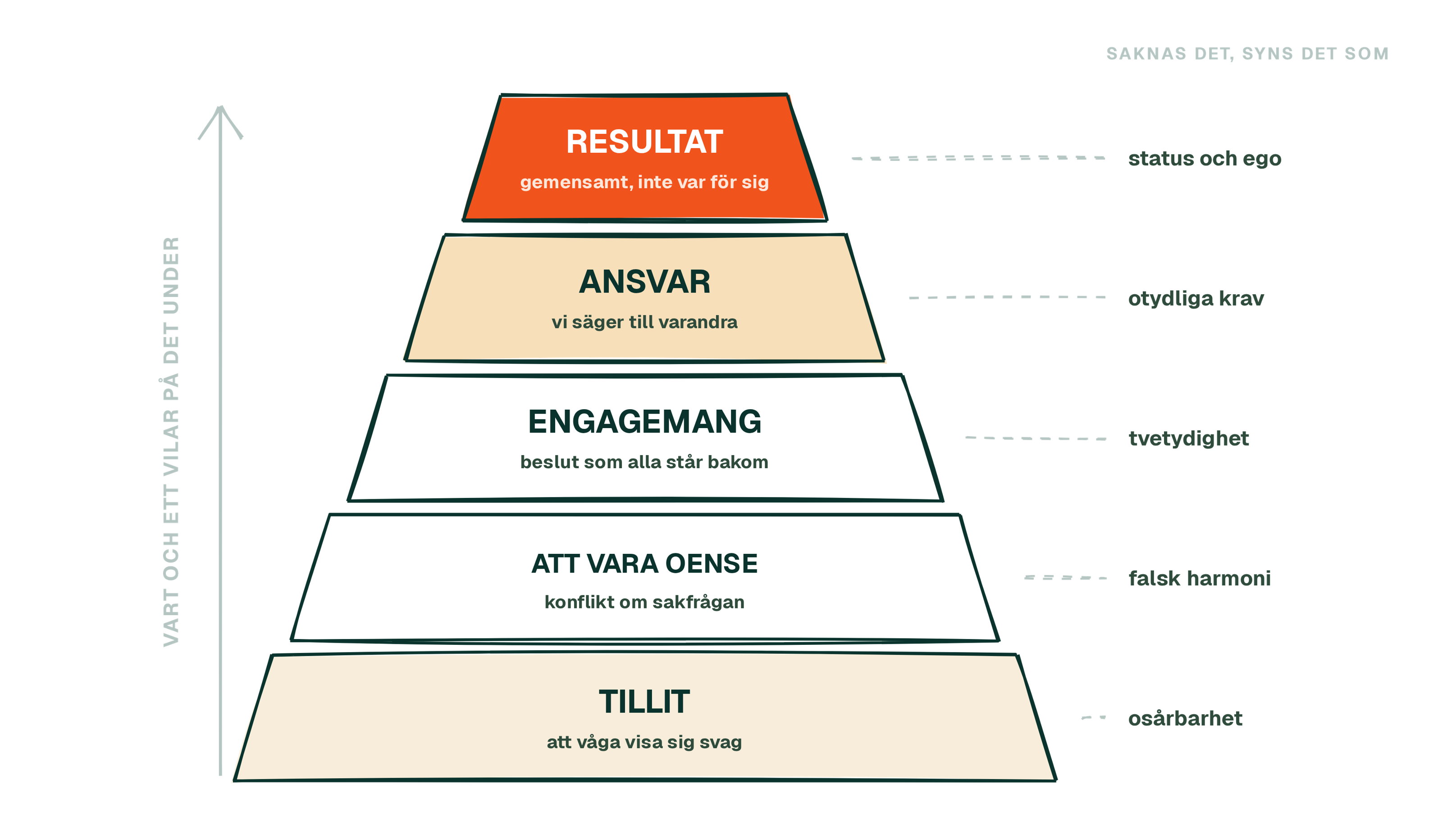 Fem lager staplade som en pyramid, från tillit underst till gemensamt resultat överst.
